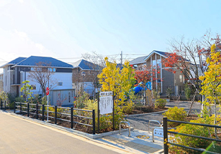 フォレストガーデン国立 樹々の園公園