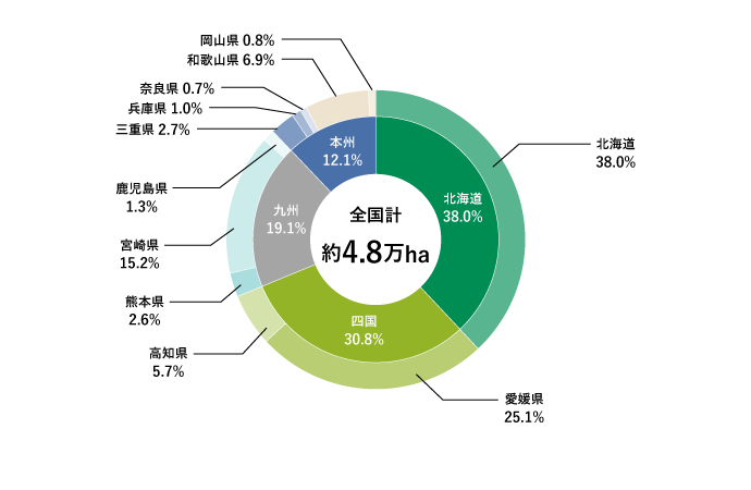 住友林業社有林内訳