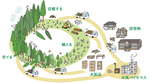森林管理と木材利用