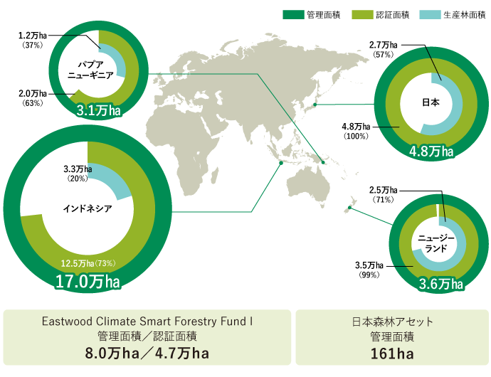 2024年度森林管理・認証・生産林面積