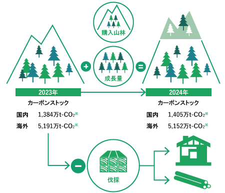 国内外の森林におけるカーボンストック