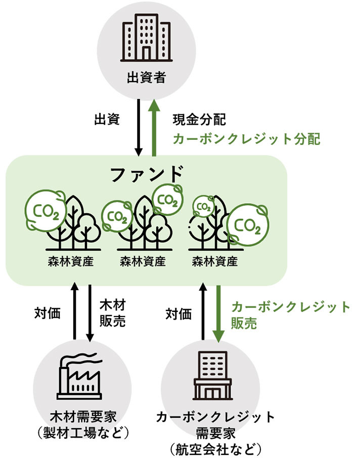 森林ファンドの仕組み