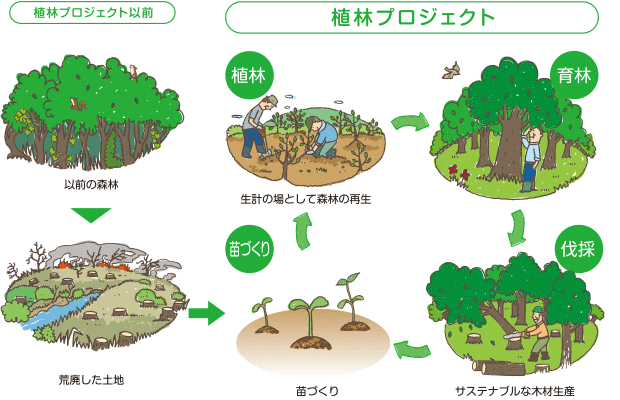 植林プロジェクトの解説図