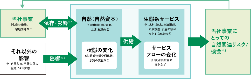 住友林業のビジネスと自然の関係(例)