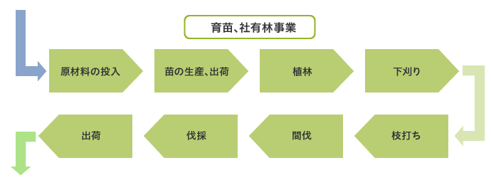 育苗、社有林事業