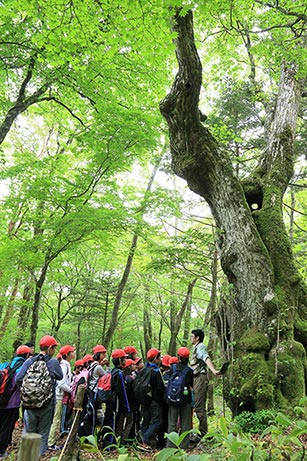 環境学習支援プロジェクト