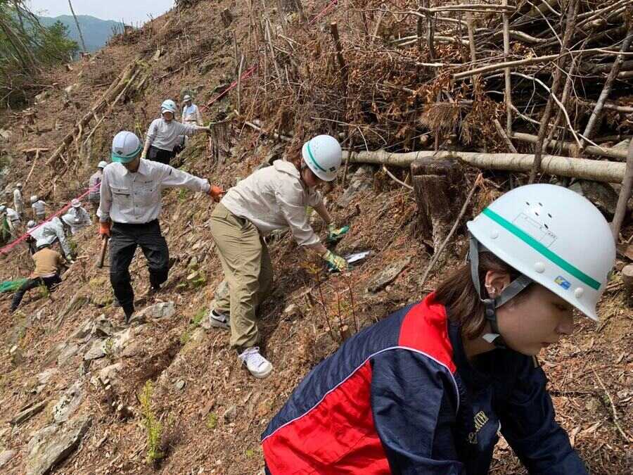 植樹活動の様子