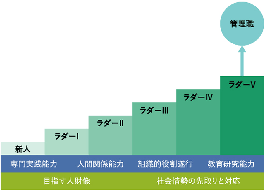 ラダー制度構造図